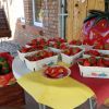 Erdbeeren aus unserem Hofladen.jpg